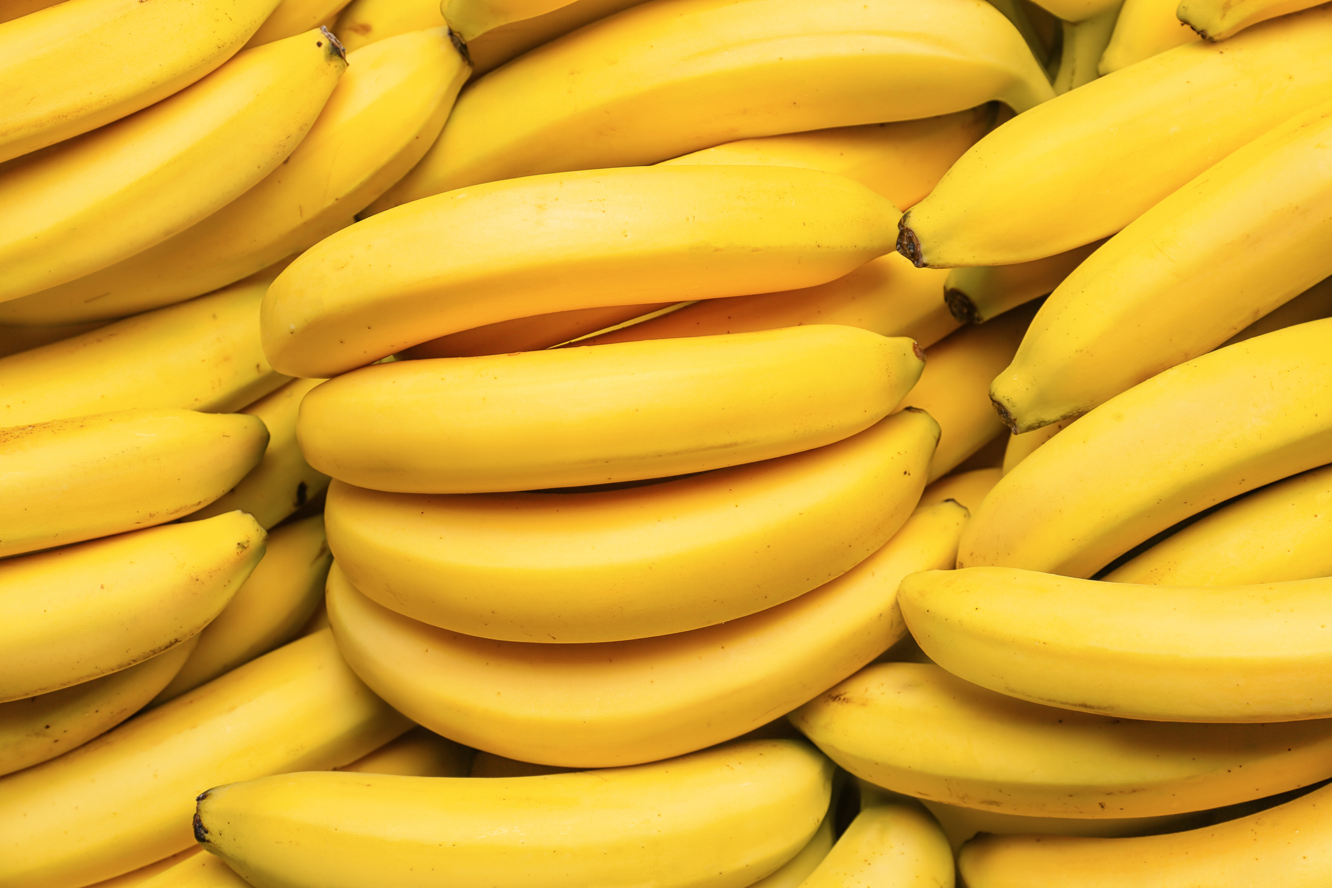 Bananas Bananas