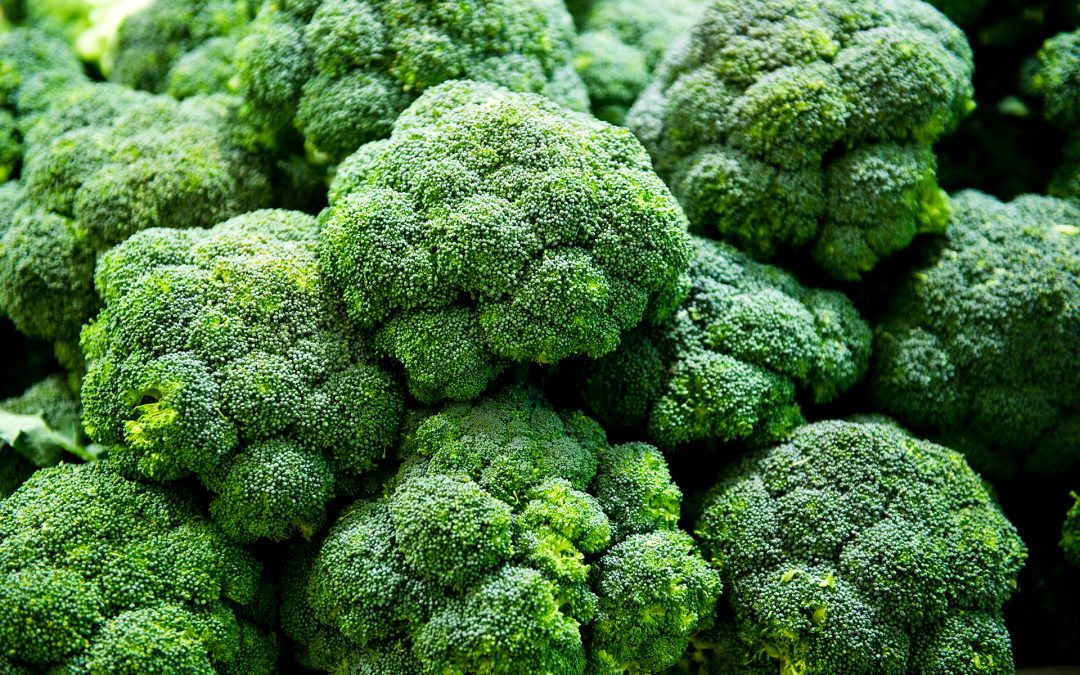 Broccoli