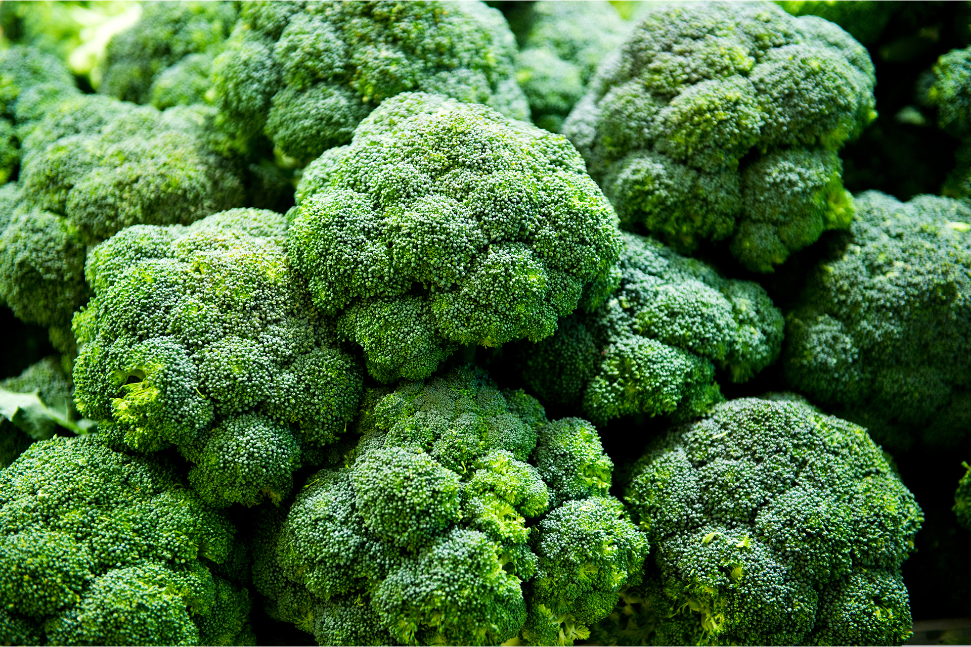 Broccoli Broccoli