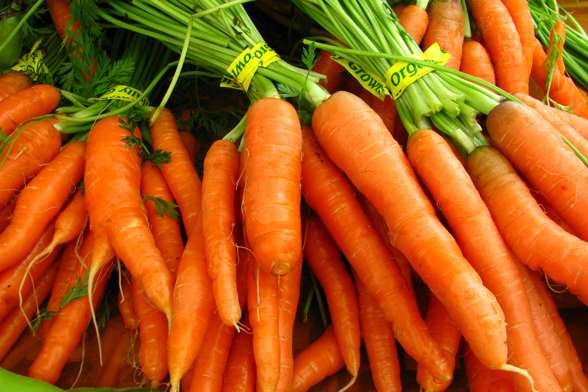 Carrots Carrots