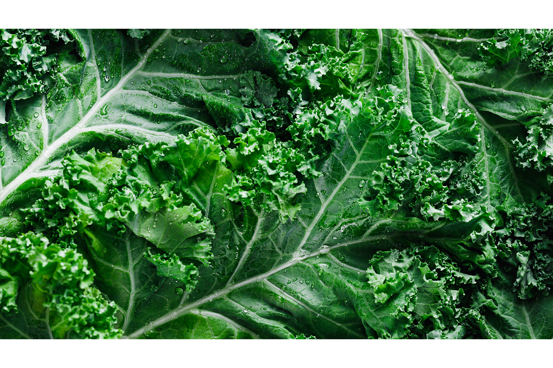 Kale Kale