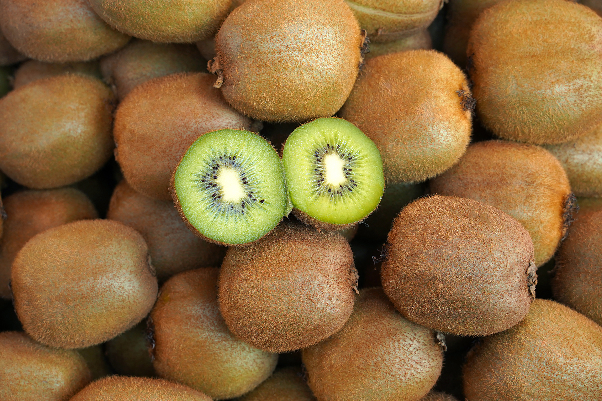 Kiwi