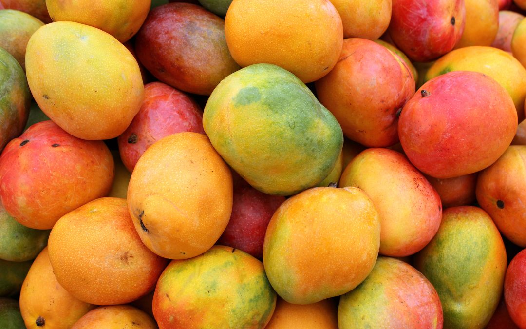 Mango