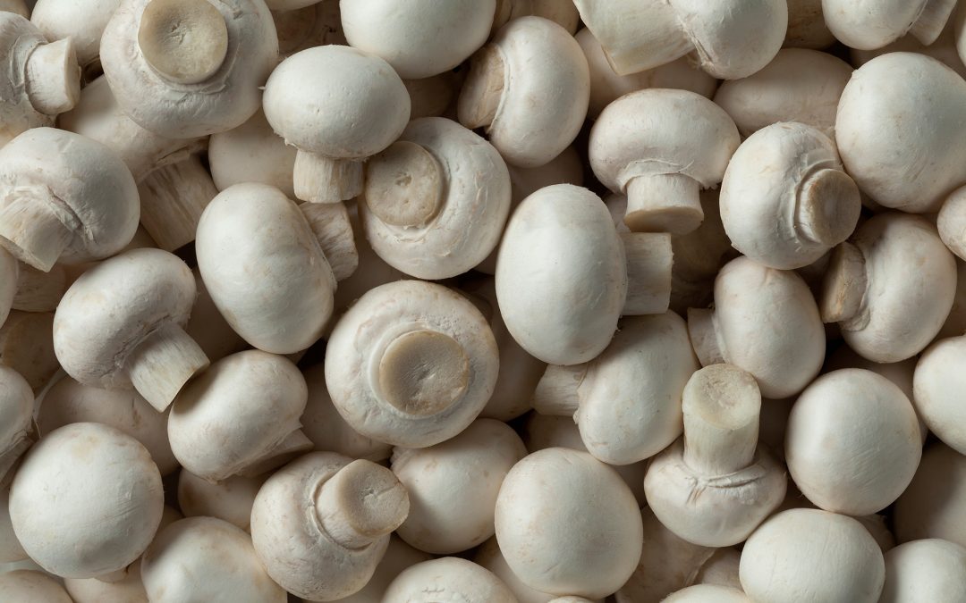 Mushrooms