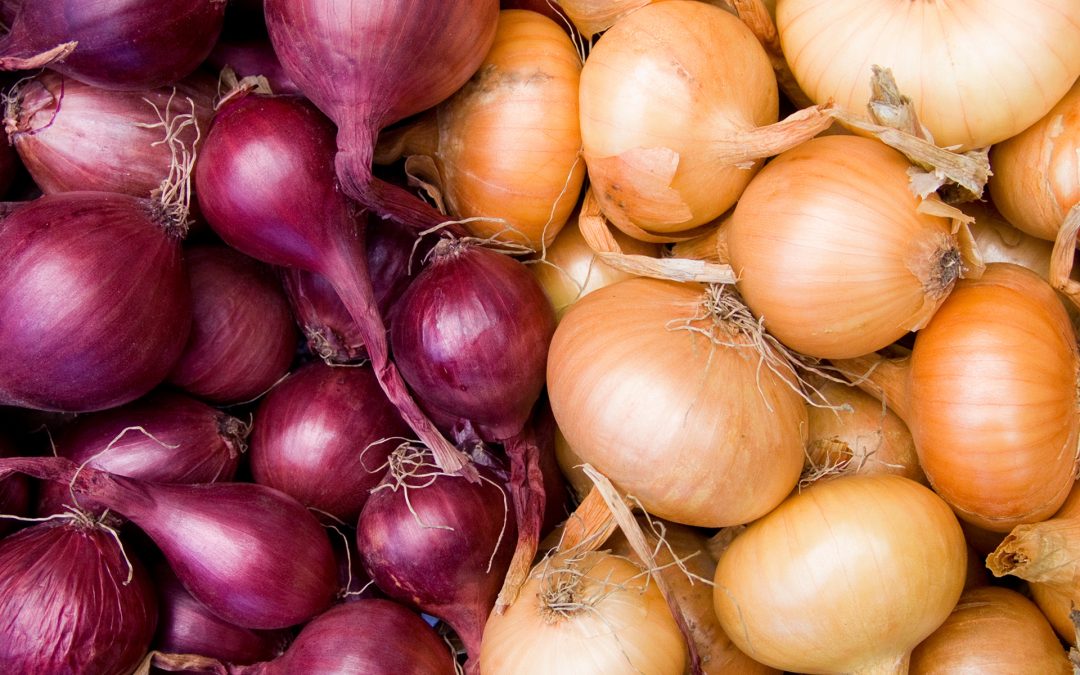 Onions