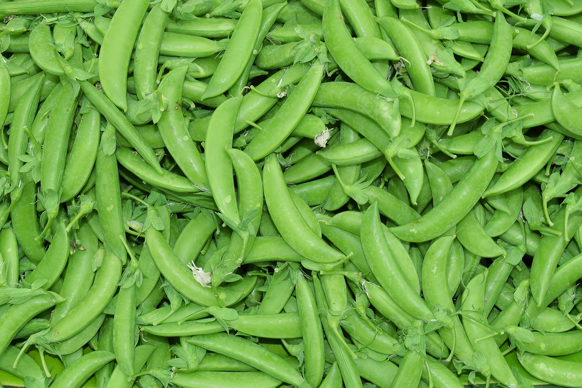 Peas