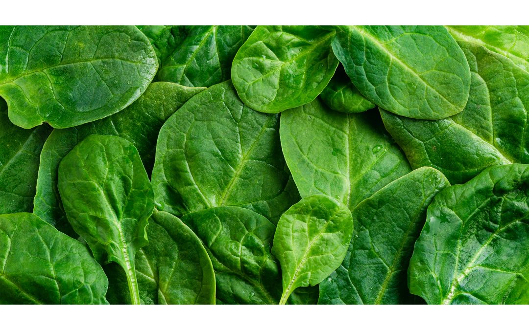 Spinach