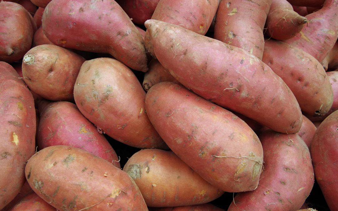 Sweet Potatoes